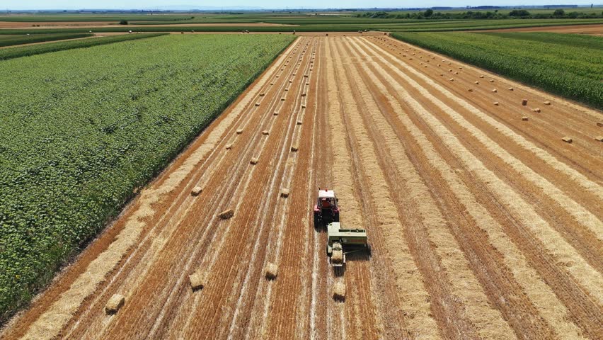 Aerial view of a tractor baling hay in a field with rows of straw bales under a clear sky in Jazak, Vojvodina, Serbia.