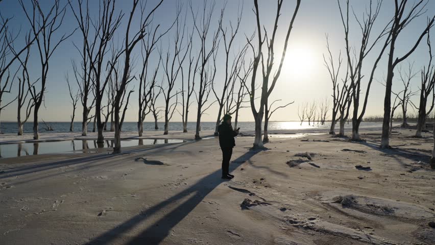 A silhouette of a person holding up a smartphone searching for a network connection in a surreal landscape of dead trees at sunset. Concept for remote work and digital nomad connectivity.