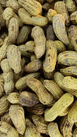 Heap of Fresh Boiled Peanuts in Shells Vertical Video