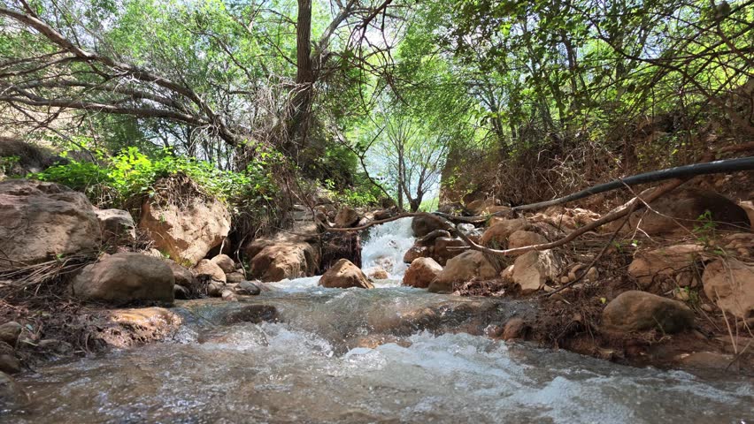 Clear stream flows over rocks through a green forest, with water splashing around stones and creating a peaceful natural landscape