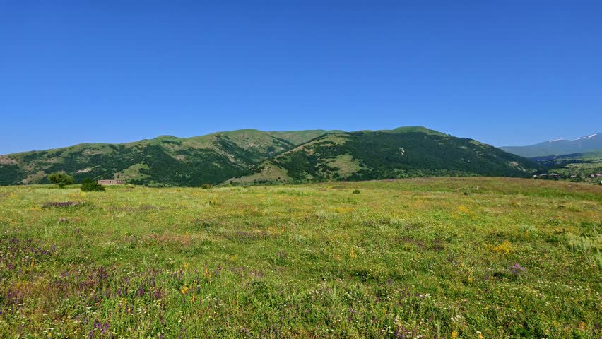 Grassland stretches toward distant hills and calm lake. Blue sky above with no clouds