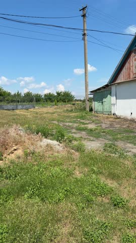 Neglected and overgrown yard with weeds on a sunny day in a rural area