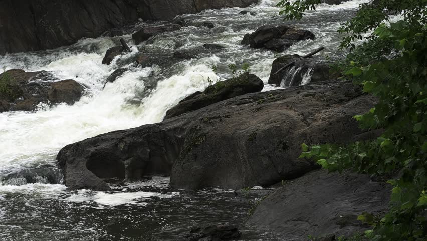 White water rapids flowing forcefully over dark, wet rocks in a wild mountain river. Natural scenery of a powerful stream in a forest