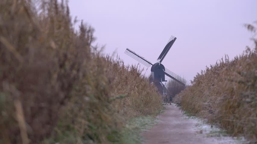 Iconic Dutch Windmills of Kinderdijk in a Frosty Frozen Winter Landscape.