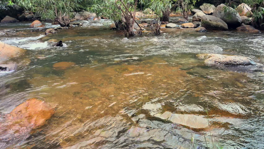 Small stream in the sun surrounded by rocks covered with moss