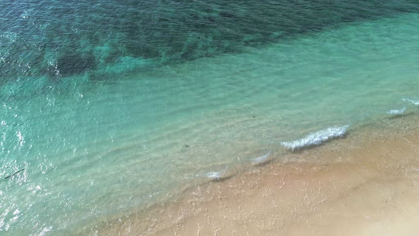 Aerial View of Tropical Beach and Ocean