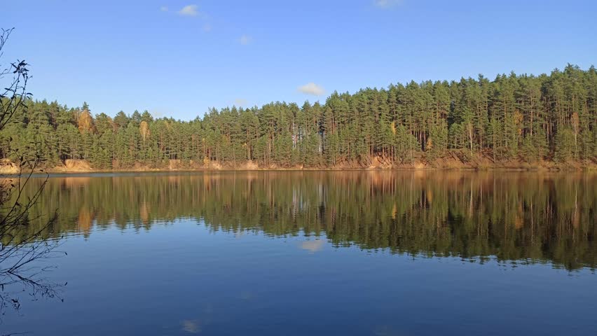 Perfect reflection of a green pine forest in the calm water mirror of a lake. Trees and blue sky with light clouds reflect symmetrically on the tranquil surface. A peaceful wilderness landscape.