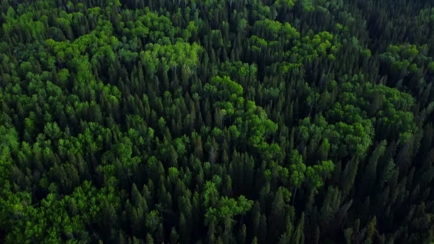 Revealing aerial shot of an oil rig in Northern Alberta during summer