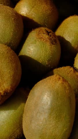 kiwi at the market. Fresh Kiwi Fruit Displayed for Sale at a Market Stand. A selection of ripe kiwis in crates at a local market
