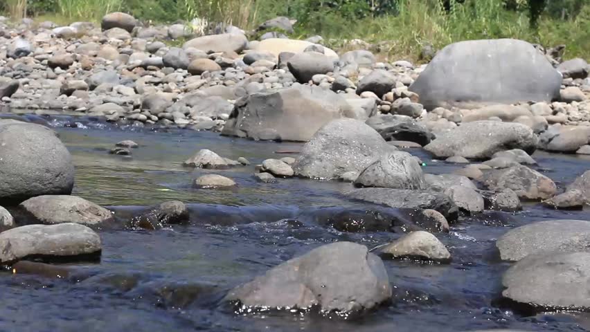 A river in the forest during the dry season.