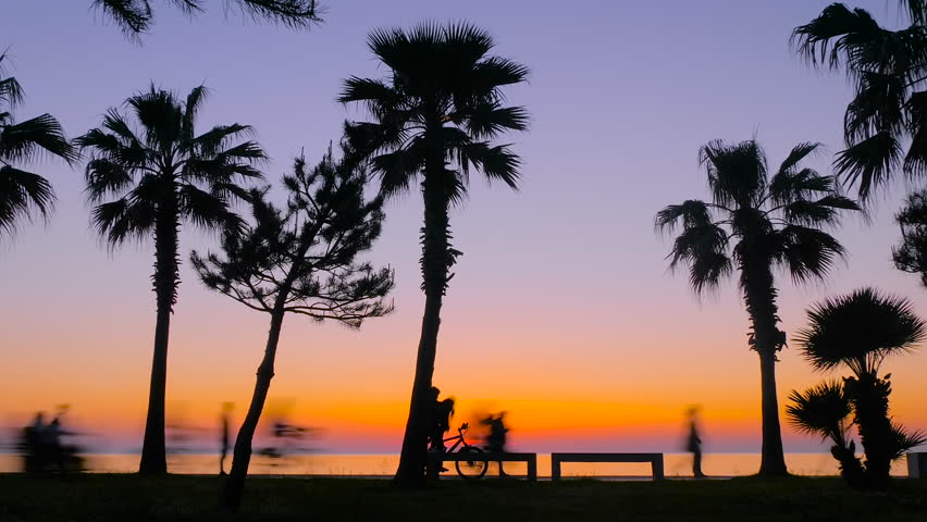 Timelapse: people silhouettes are walking along the waterfront against the evening sky. View of palm trees on the embankment of the resort town after sunset. Summer, time lapse and tropical concept