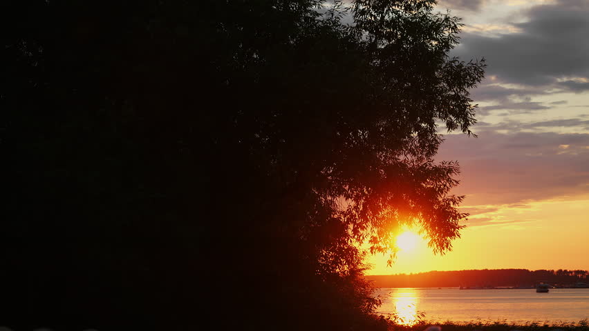 Golden sunset shining through tree branches over a calm lake with reflections on the water. Peaceful natural landscape captured during a warm summer evening.