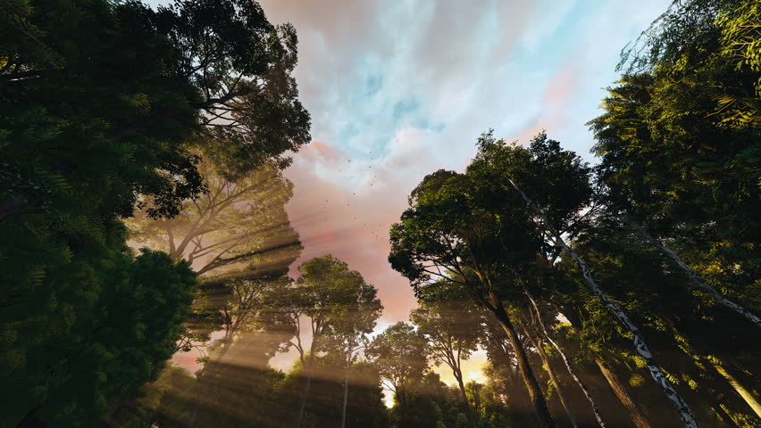 Golden Sunbeams Through Forest Canopy with Birds Circling at Sunset