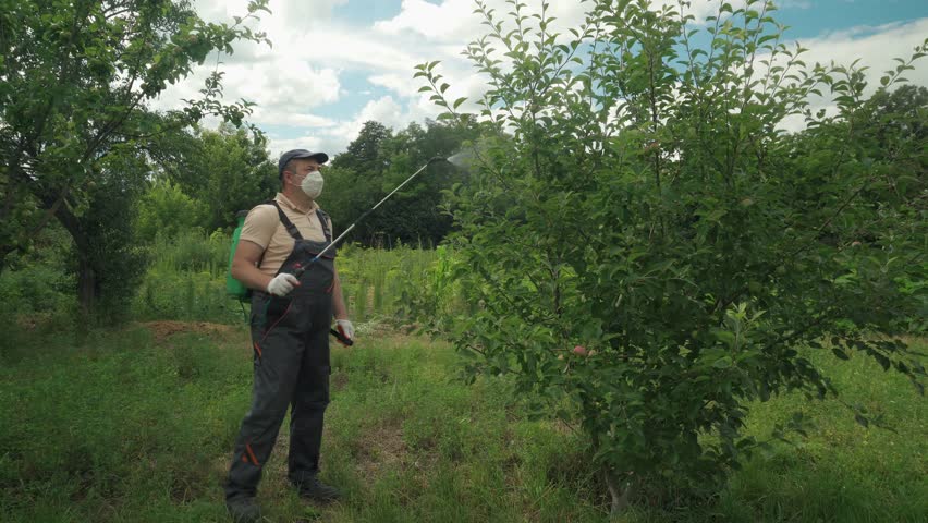 Farmer in protective gear stands in a green garden, spraying pesticide on a fruit tree. The lush surroundings highlight the importance of plant care and agricultural maintenance in rural areas