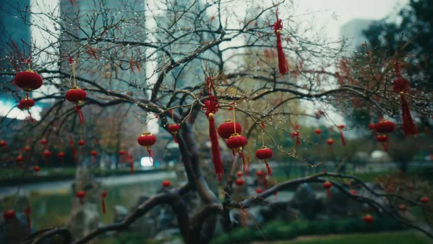 Close-up of traditional red Chinese New Year lanterns and decorative knots hanging from bare wet winter tree branches in a Shanghai park.