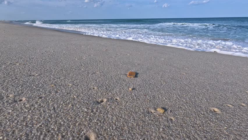 Island Beach State Park, New Jersey, USA: Landscape of a wide sandy beach along the Atlantic coast of New Jersey in Island Beach State Park. The calm Atlantic Ocean with gentle waves washes over the fine sandy shoreline. Sea foam is visible in the foreground, creating a peaceful, scenic, and tranquil coastal atmosphere.