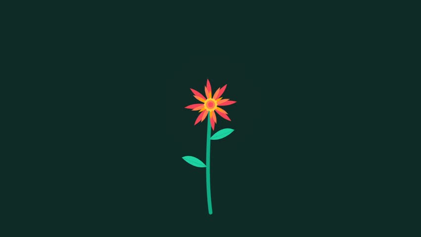 Animated flat design of an orange flower blooming on dark green.