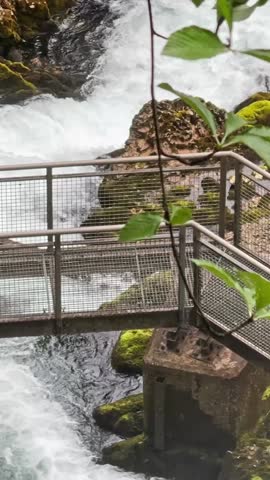 Metal footbridge over a fast Austrian alpine gorge, with whitewater rapids, mossy boulders, leafy branches, and a close hiking trail viewpoint.