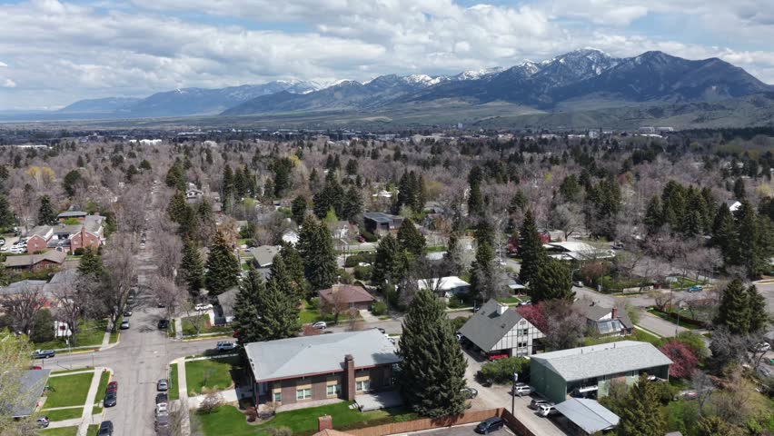 Tree-lined residential street winds through quiet neighborhood in Bozeman, Montana, USA, framed by parked cars, bare spring branches, snow-capped mountain range beyond. Aerial drone wide shot
