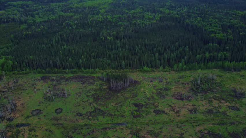 Wide aerial view of Alberta prairies in summer