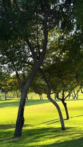 Beautiful natural landscape of Katara Hills in Doha, Qatar.