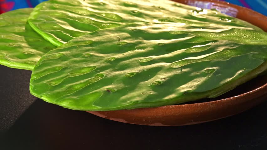 Healthy vegan food. Raw prickly pear cactus paddles