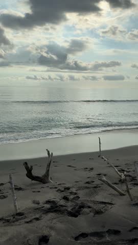 A tranquil beach scene at dusk or dawn with gentle waves rolling onto shore, weathered driftwood branches standing in the sand, and a soft cloudy sky reflecting light over the calm ocean horizon.