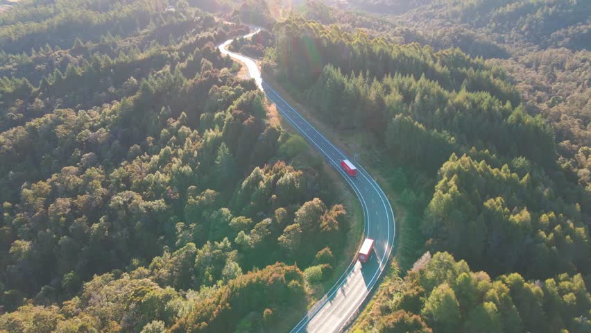 Alpine road winding through the forest