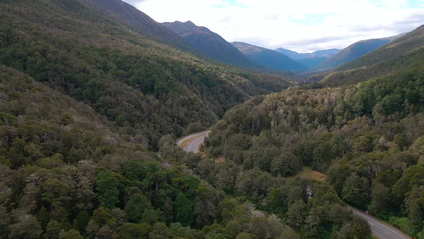 Alpine road winding through the forest