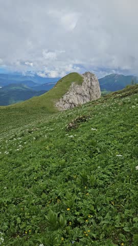 Mountain meadow with panoramic valley view under dramatic cloudy sky