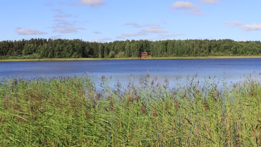 a house on the river bank in the forest on a sunny summer day
