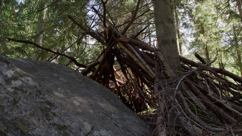 Branch shelter leans against a large boulder among tall trees, with still daylight filtering through the quiet Norwegian woodland.