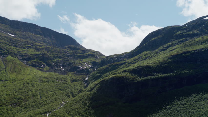 Sunlit tree-covered hills rise in layered slopes above a fjord-side forest in a quiet daytime landscape scene.