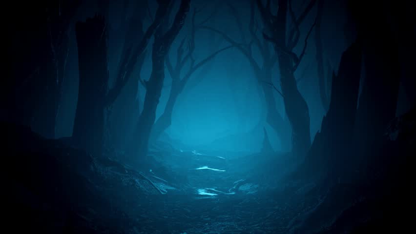 A haunting, dark forest landscape with glowing blue mist.