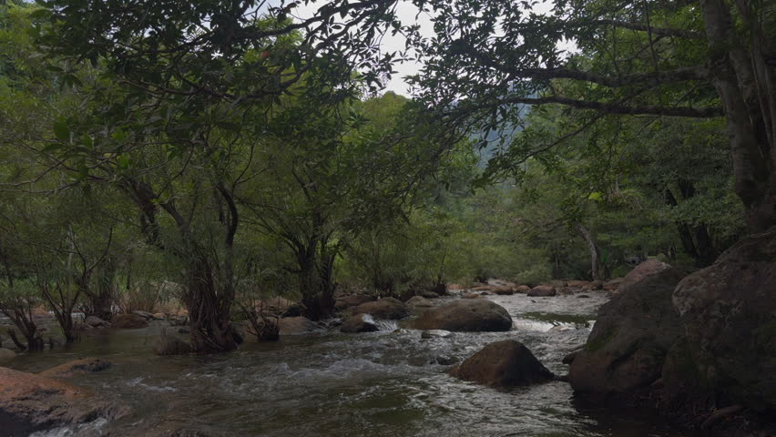 a fast flowing mountain stream in the spring forest