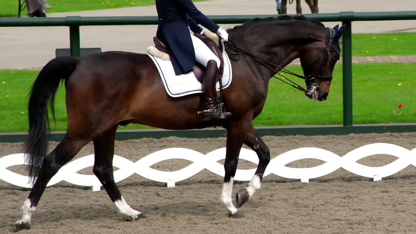 Rider Prepares for the Performance. A rider in a traditional costume gracefully rides a pedigreed horse. Slow Motion