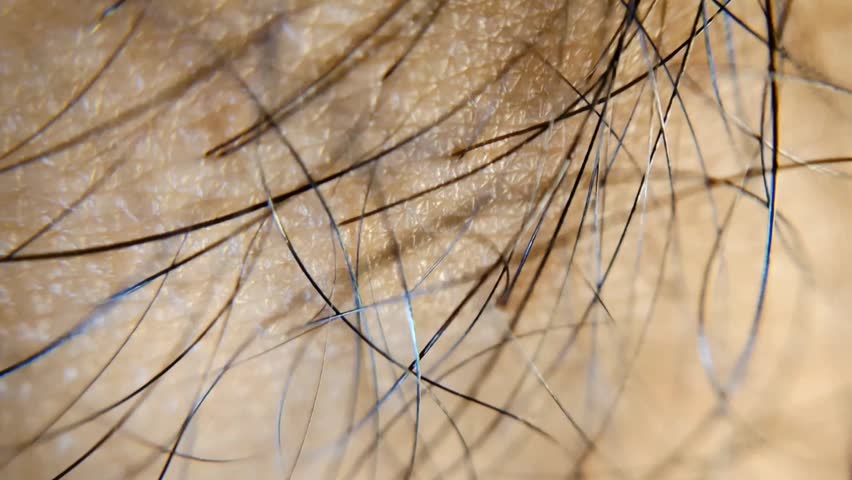 extreme close up of human skin surface with hair