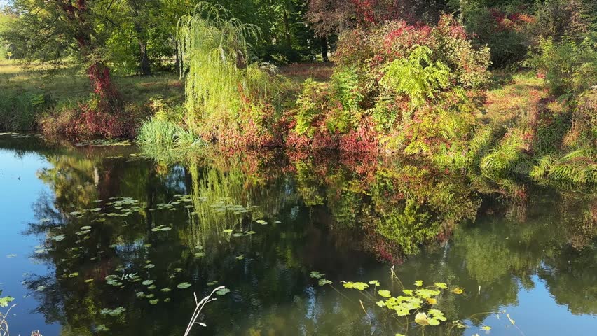 Reflection of the trees and bushes growing on a lake shore on a water surface in autumn park in sunny day
