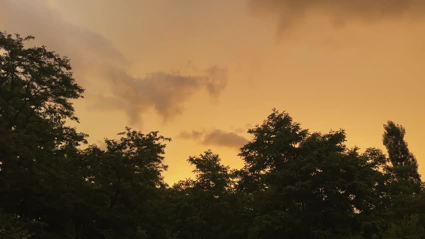 Section of sky with orange and yellow shades and small amount of the scattered clouds above the dark silhouettes of the locust trees tops during a sunset
