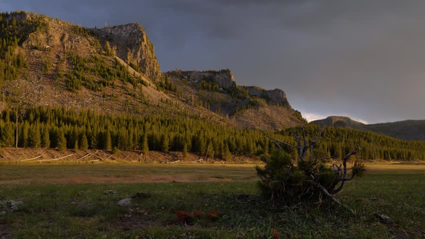 Golden Light Across Madison River Valley In Yellowstone National Park Wyoming