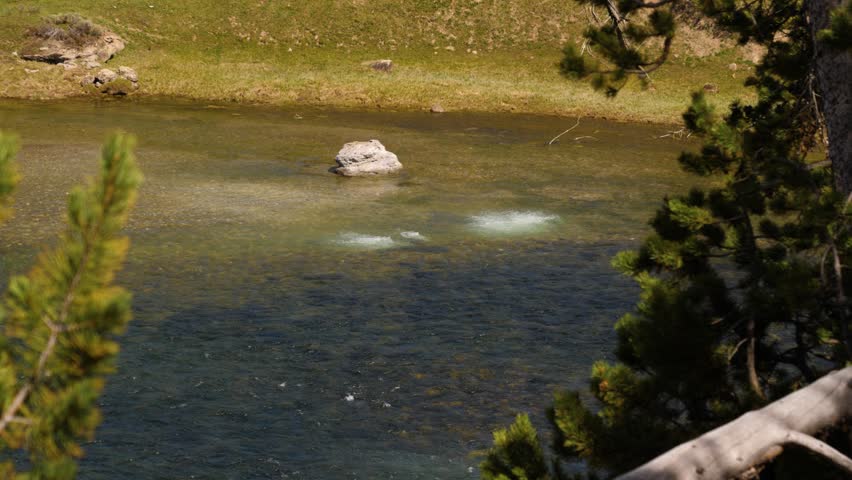 Hydrothermal Springs Flowing Into River In Yellowstone National Park Wyoming