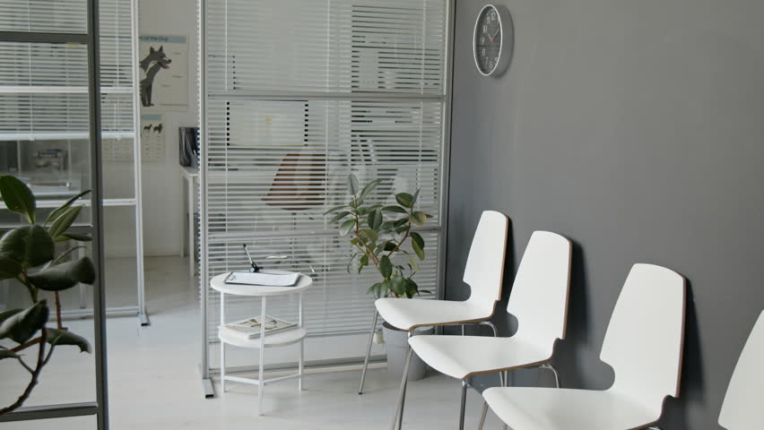 Empty veterinary clinic waiting room showing chairs, wall clock, and dog anatomy poster behind glass partition. Clip is perfect for pet care services or animal healthcare marketing