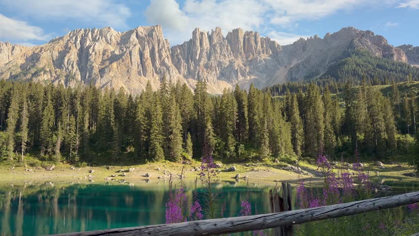 A weathered wooden post and wild pink flowers stand in the turquoise waters of Lake Carezza, reflecting the jagged Dolomite peaks in warm evening light, South Tyrol, Italy.
