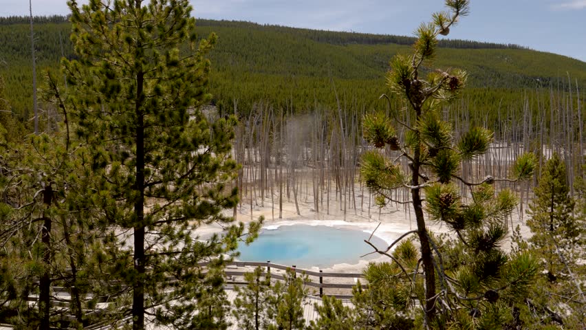 Cistern Spring Hydrothermal Pool and Forest Yellowstone National Park Wyoming