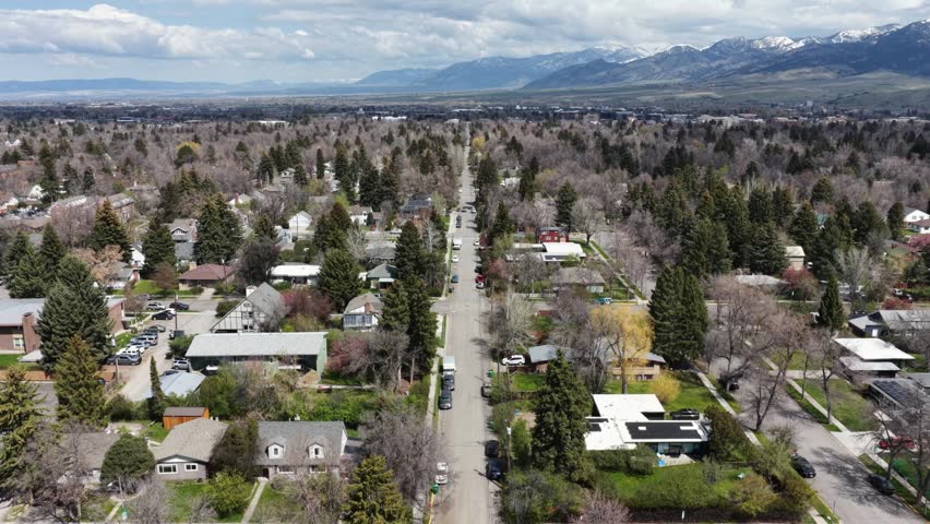 Tree-lined residential street stretches through Bozeman neighborhood, houses and budding spring trees spread beneath snow-capped Montana mountains rising far in distance. Aerial drone shot