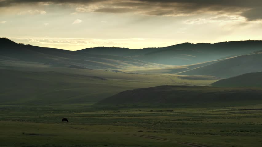 Mongolia sunset glows above grassland hills beneath dramatic storm clouds, evening color. Twilight spreads across rolling plains with moody atmosphere, distant mountains. Warm sunset colors appear as low-angle sunlight passes through a longer section of the atmosphere and scatters cooler wavelengths. Dense storm clouds create tonal contrast above the illuminated horizon and emphasize the changing weather of a continental grassland. The layered hills, open sky, and fading daylight provide atmospheric imagery for nature, climate, solitude, travel, and environmental backgrounds.