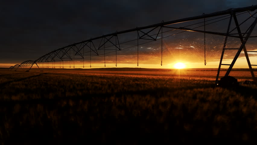 An epic sunset over an endless wheat field featuring a modern center pivot irrigation system. The silhouette of the sprinkler structure against the golden sun creates a cinematic atmosphere, highlighting the beauty of agriculture, sustainable farming, and advanced agricultural technology.