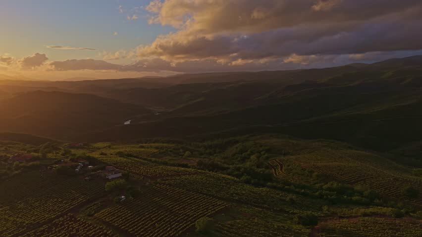 Wide panoramic aerial view of a magnificent vineyard landscape during a radiant sunset, featuring layered hills and warm cloud formations.