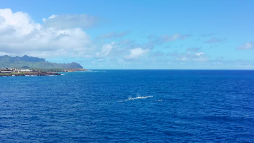 humpback whales traveling through the pristine waters surrounding Hawaii, with the dramatic island coastline rising in the distance. The whales move peacefully across the open ocean, surfacing as they journey through one of the world