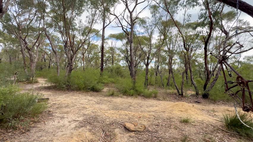 Footage of an old and discarded rusty bicycle hanging from a rope in a tree on a remote hiking trail near a valley in the Blue Mountains in New South Wales, Australia